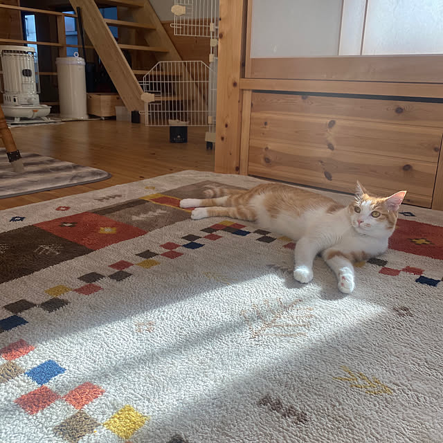 senbei.sakuramochiさんの実例写真