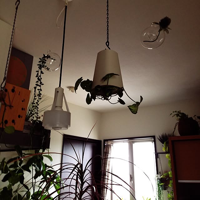 tataさんの実例写真