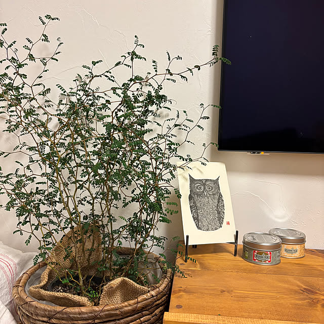 hannaさんの実例写真