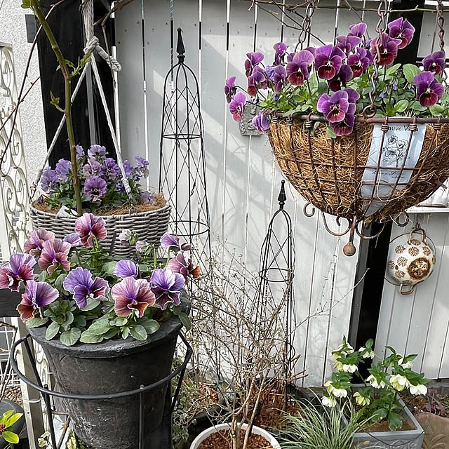 shiropenguinさんの部屋