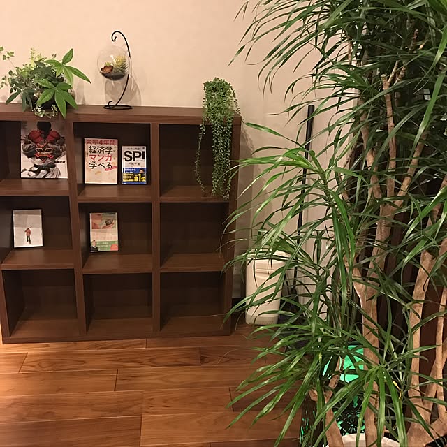 monaさんの実例写真