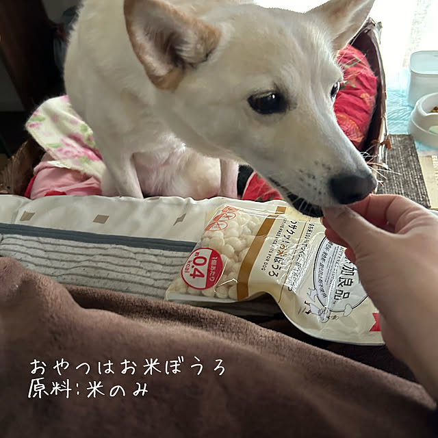 tanboさんの部屋