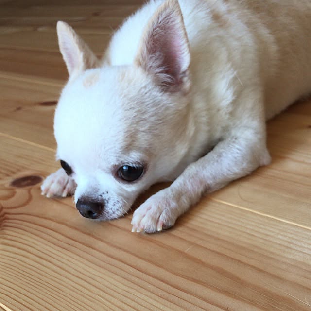 unataroさんの実例写真