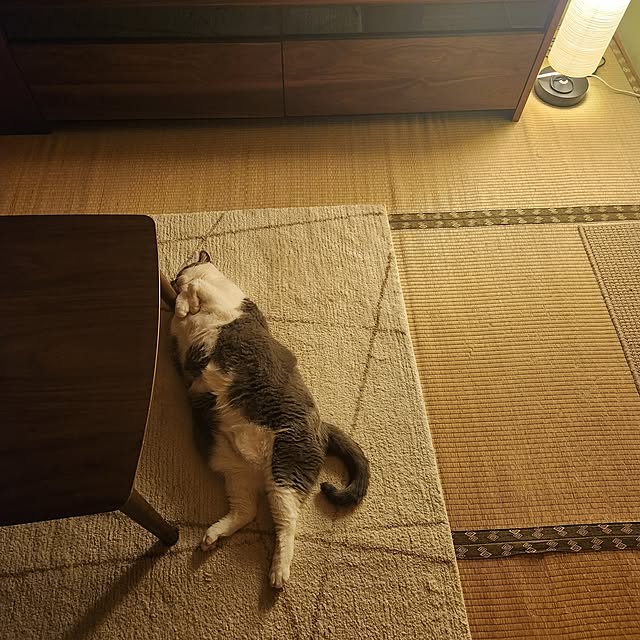 rhuさんの実例写真