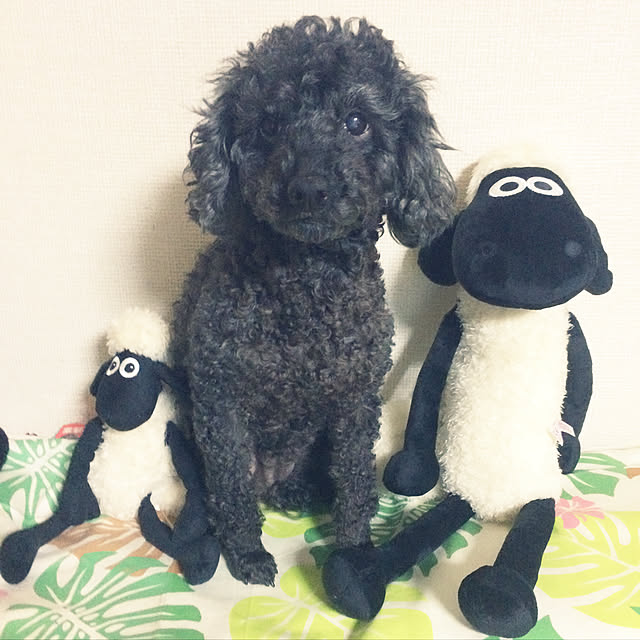 87mamaさんの実例写真