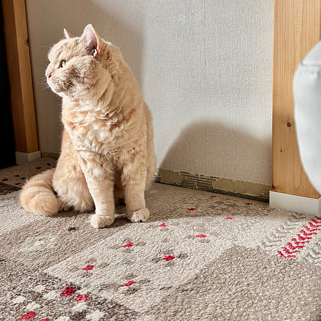 naokoさんの部屋