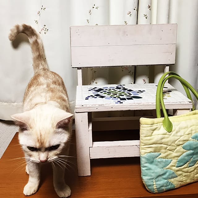 sirasu.nさんの実例写真