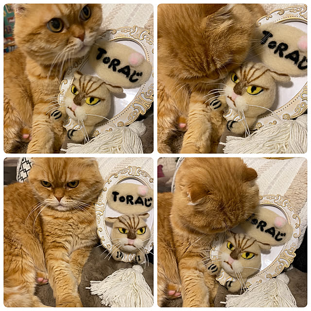 Mahoさんの実例写真