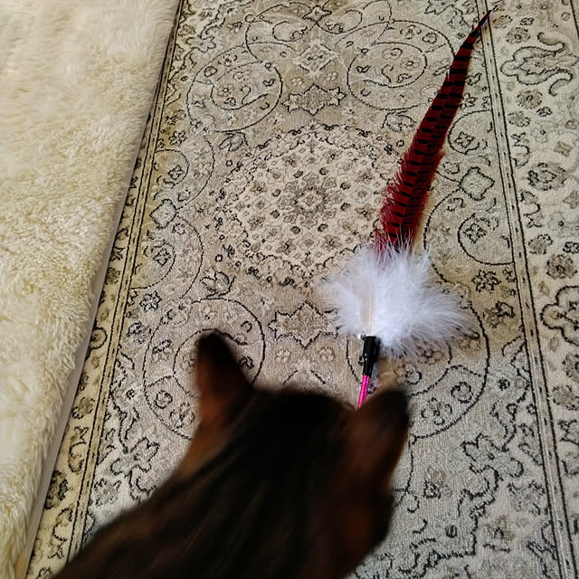 lilyさんの実例写真
