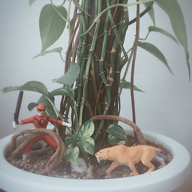 実例写真