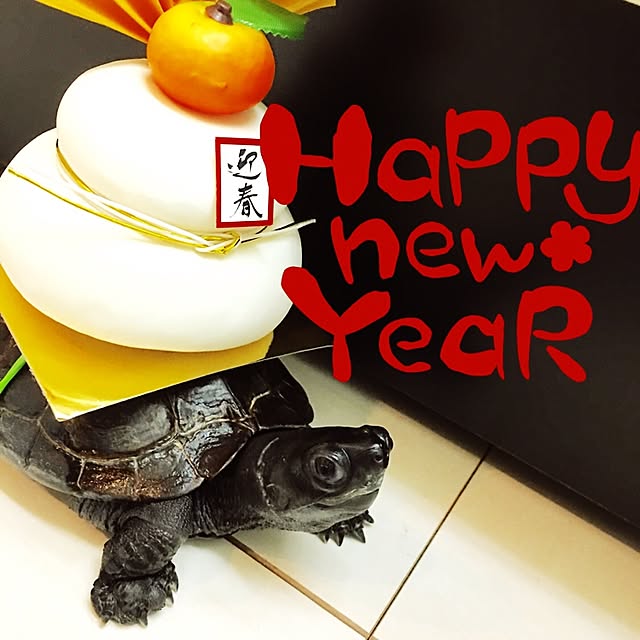 Mopmamaさんの実例写真