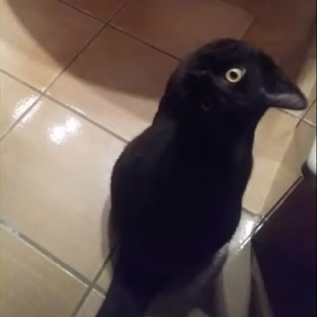 Tackunさんの部屋