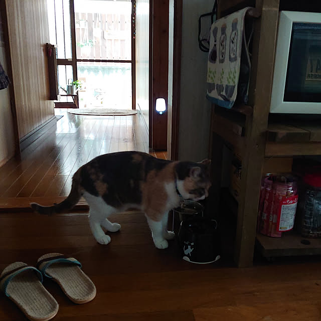 fukuさんの実例写真
