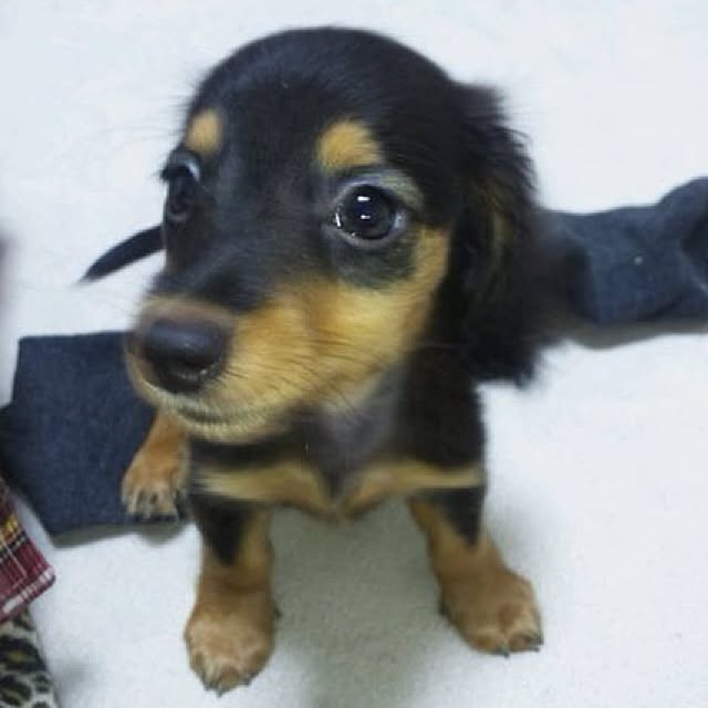 omayuさんの実例写真