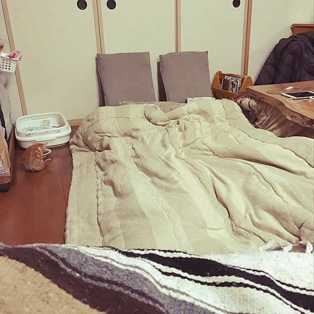 tornadeさんの実例写真
