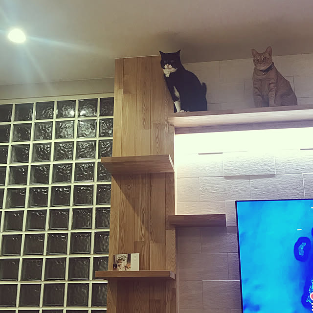 mtkさんの実例写真