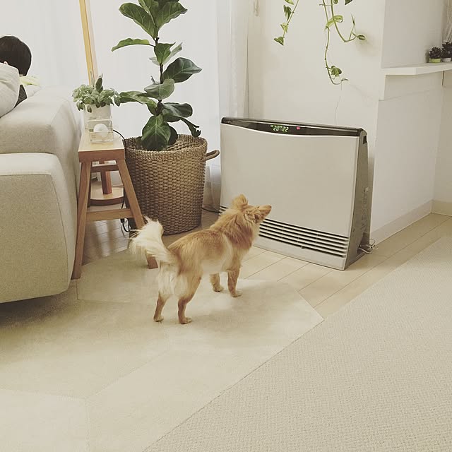 haruhinaさんの実例写真