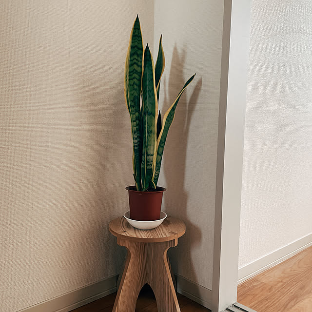 kawaceeさんの実例写真