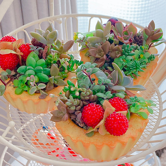 Hanakaさんの部屋