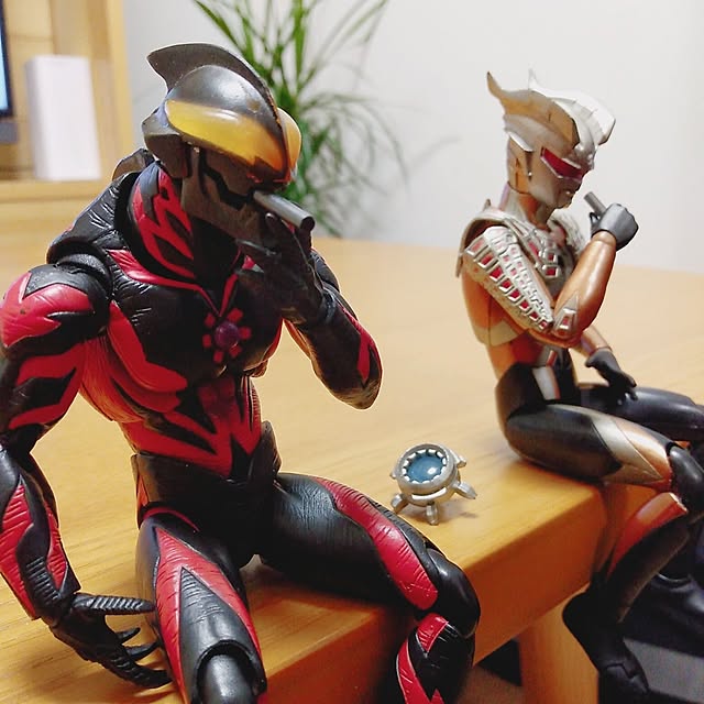 ruantaiさんの実例写真