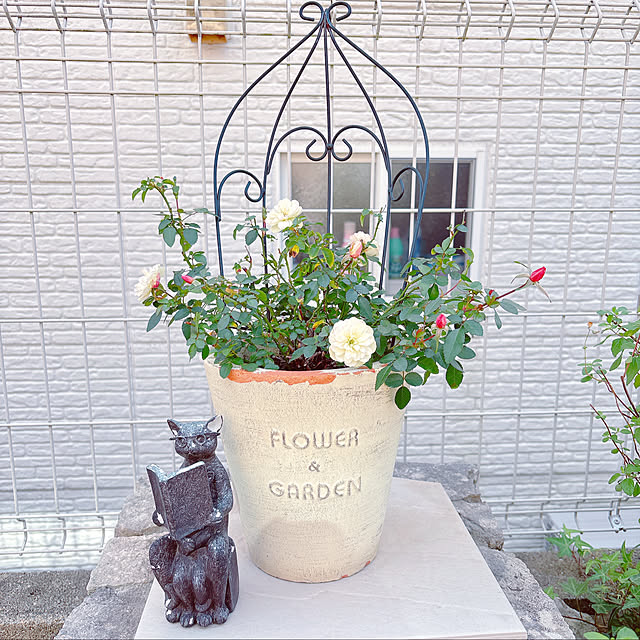 moolさんの実例写真