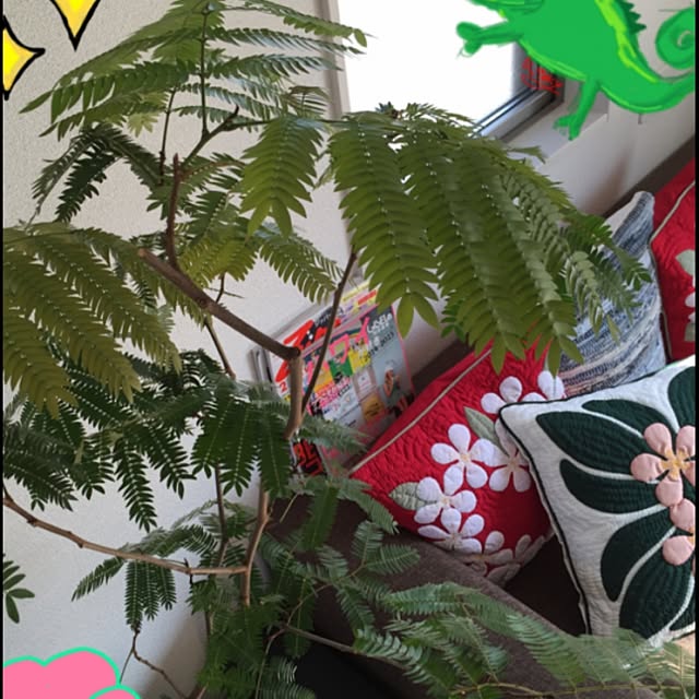 k-wさんの実例写真