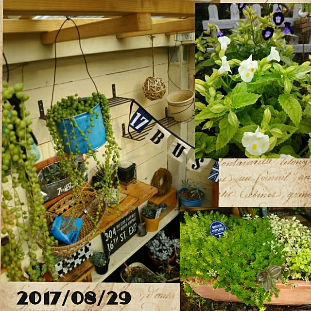 bousuke.215112さんの実例写真