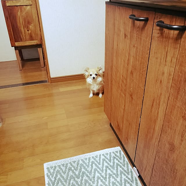 mizuさんの実例写真