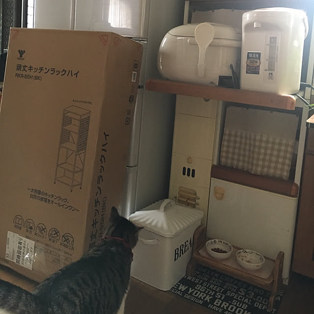 Rumiさんの実例写真