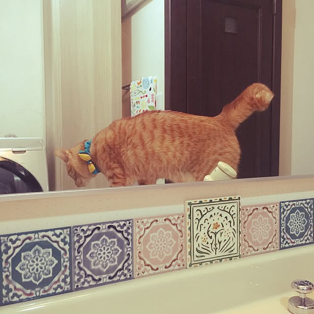 mtkさんの実例写真