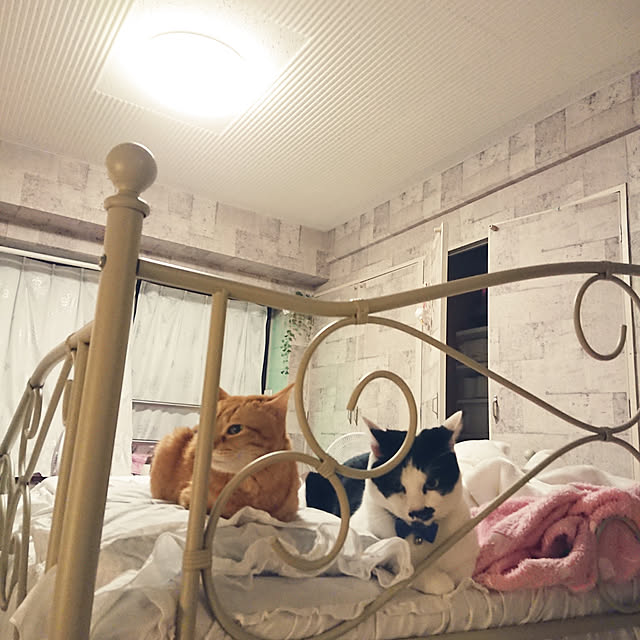 asuminさんの実例写真