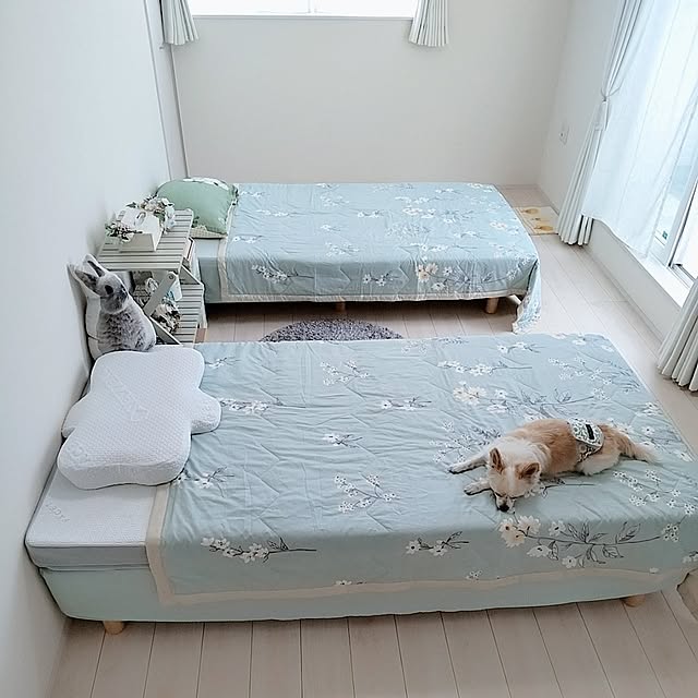 PAOさんの部屋