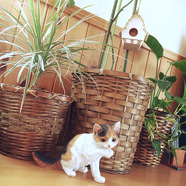 pu-toraさんの実例写真