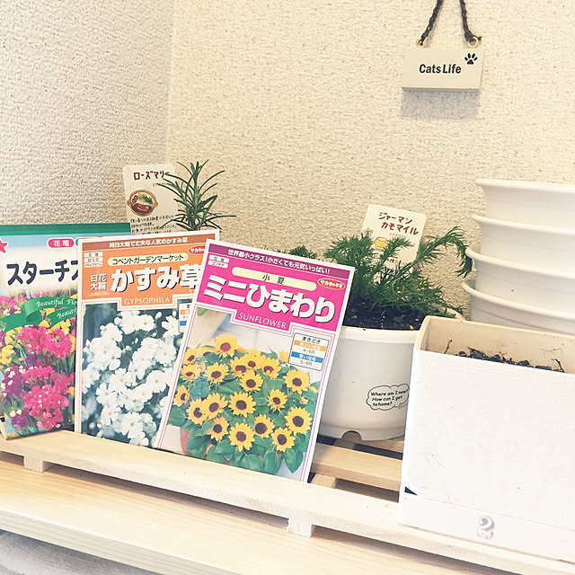 soraさんの実例写真