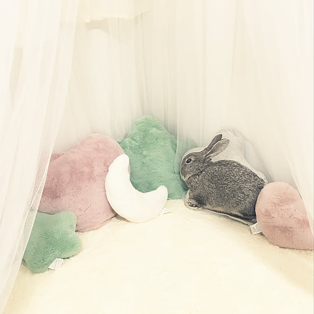 mai-moiさんの実例写真