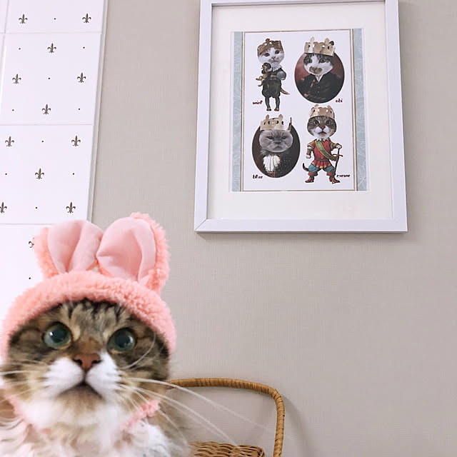 yuchiさんの実例写真