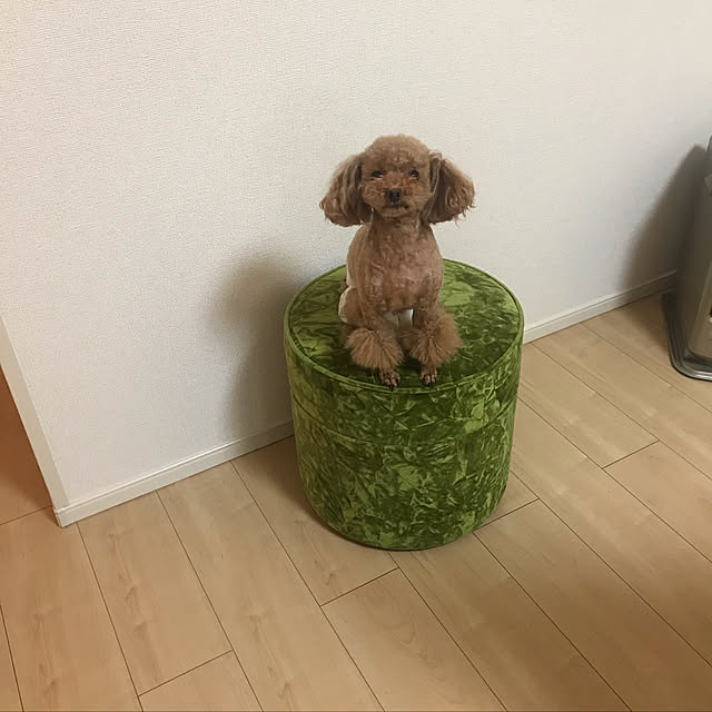 Rie1138さんの実例写真