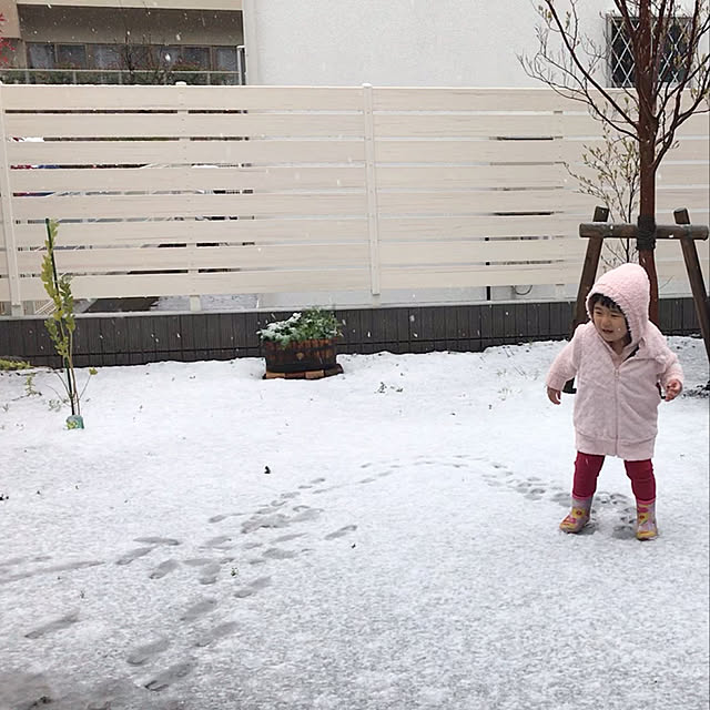 walzさんの実例写真