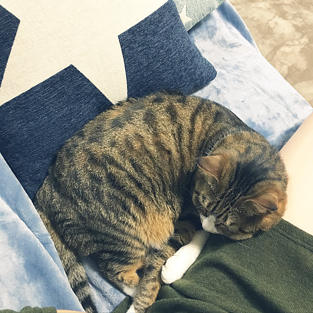 yagidoruさんの実例写真