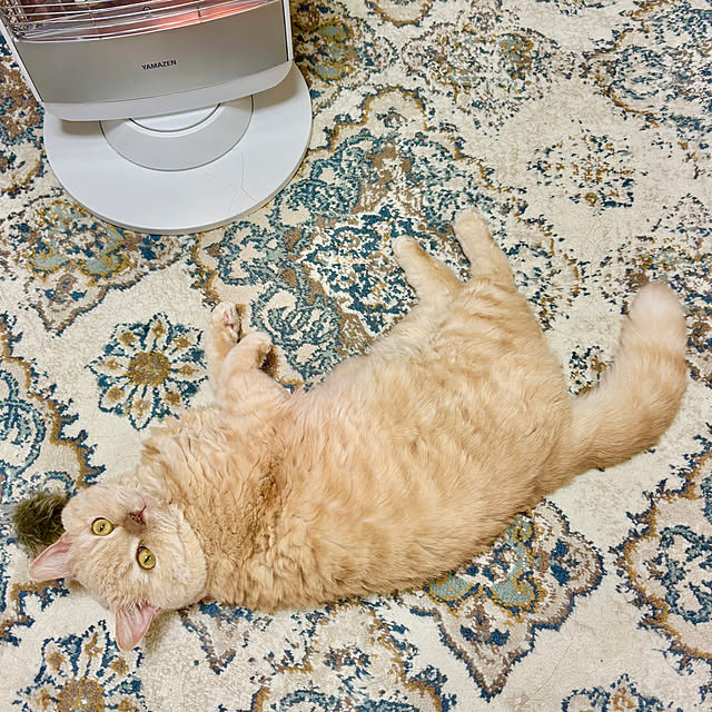 naokoさんの部屋