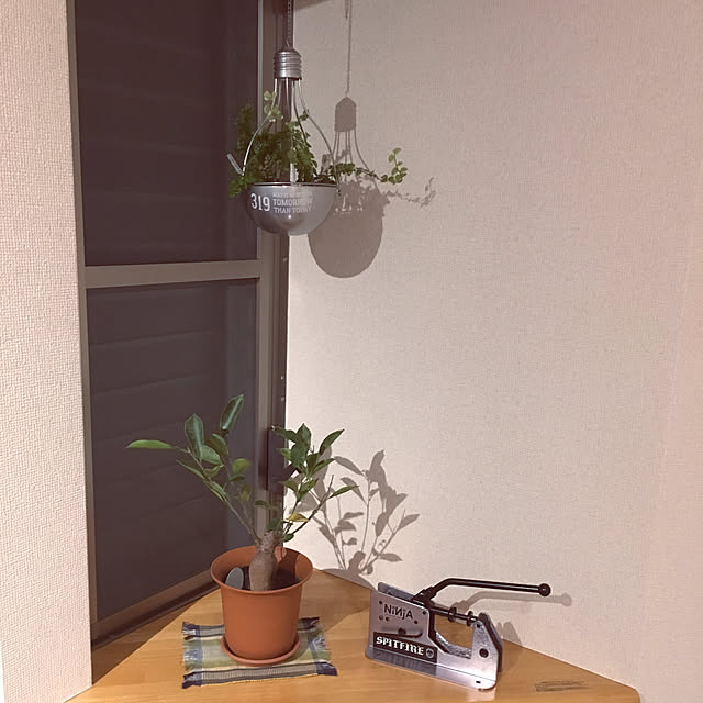 pinchさんの実例写真