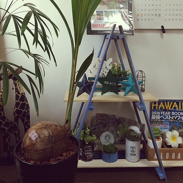ohanaさんの実例写真