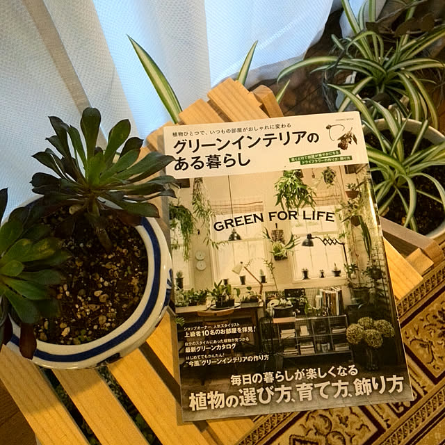 Renさんの実例写真