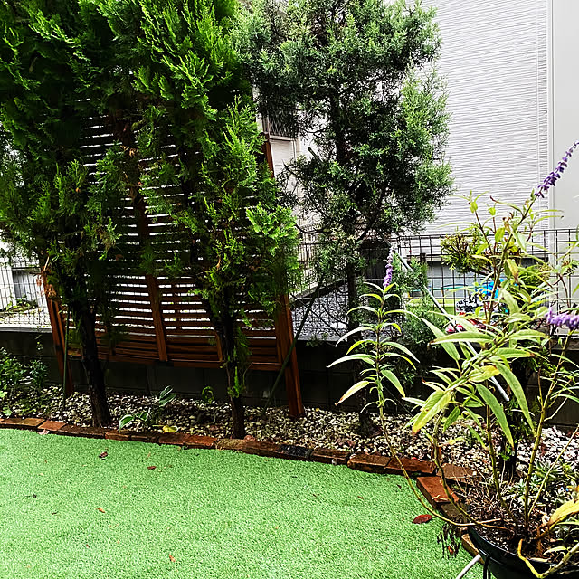 高評価！ Amazon.co.jp: DIY : 2枚 1×2m 人工芝 Select Golden