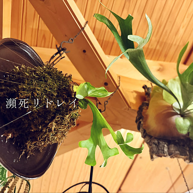 onsix777さんの部屋