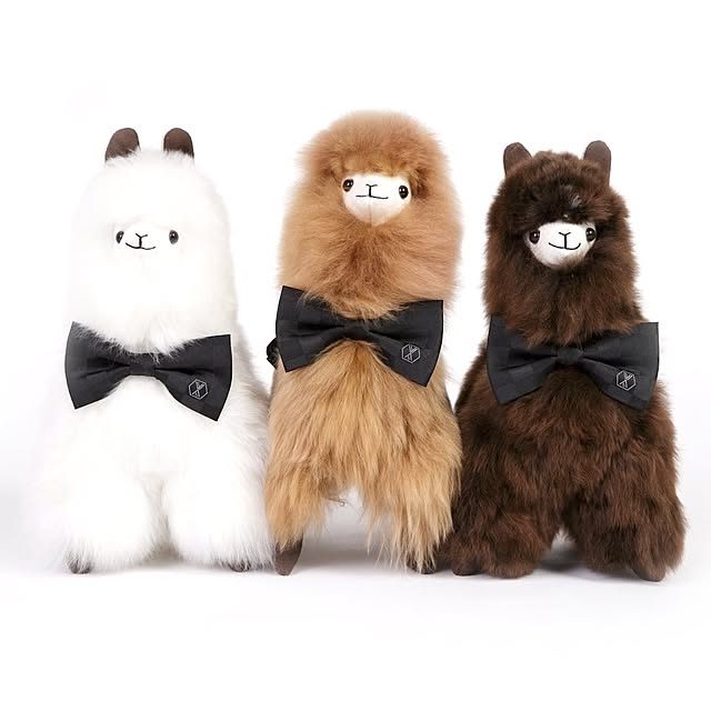 sansyu_corpさんの実例写真
