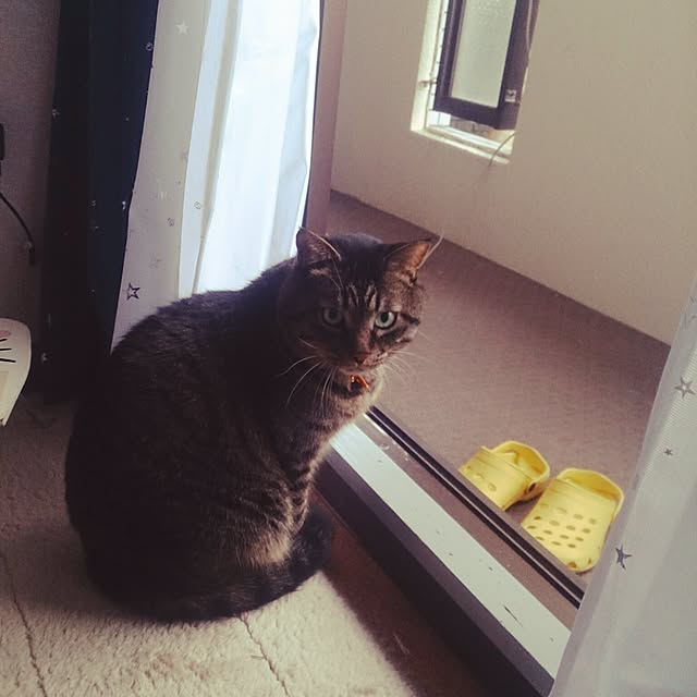 pyiさんの実例写真