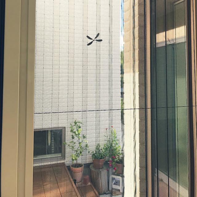 sayapiさんの実例写真