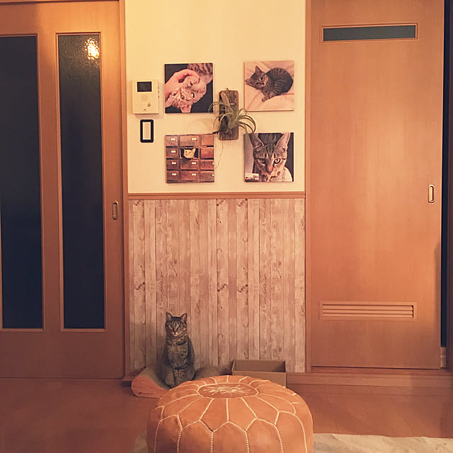 Mさんの実例写真