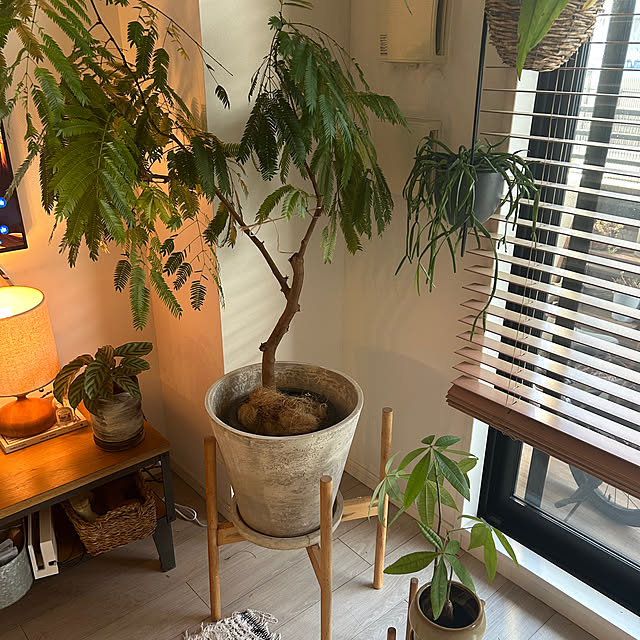 kiki__husさんの部屋